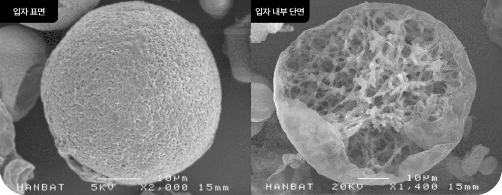 쥬베룩 PDLLA 입자 표면·단면 구조